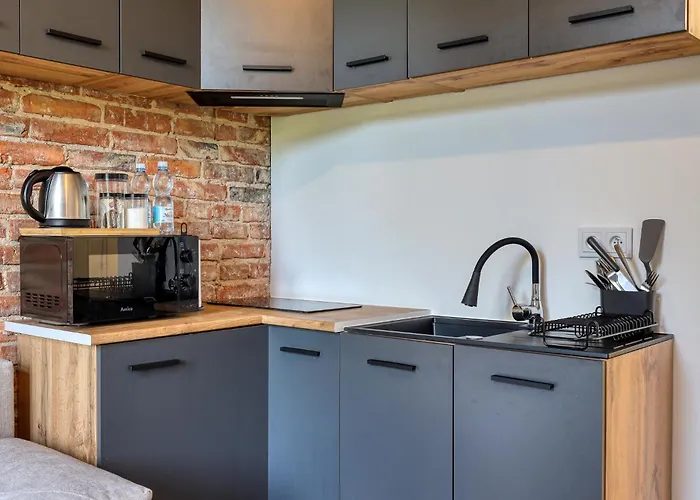 Industrial Apartment